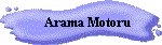 arm.gif (2380 bytes)