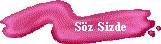 ss.gif (2893 bytes)